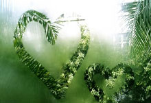 开云-加时末段西汉姆调整名单以备德国杯，止住颓势环节打磨，管理层满意，纪律约束更严格的简单介绍